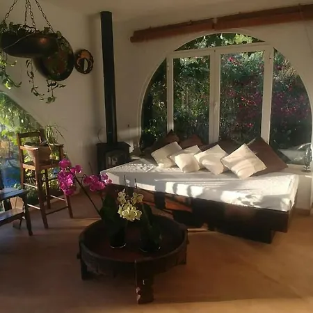 Villa House *